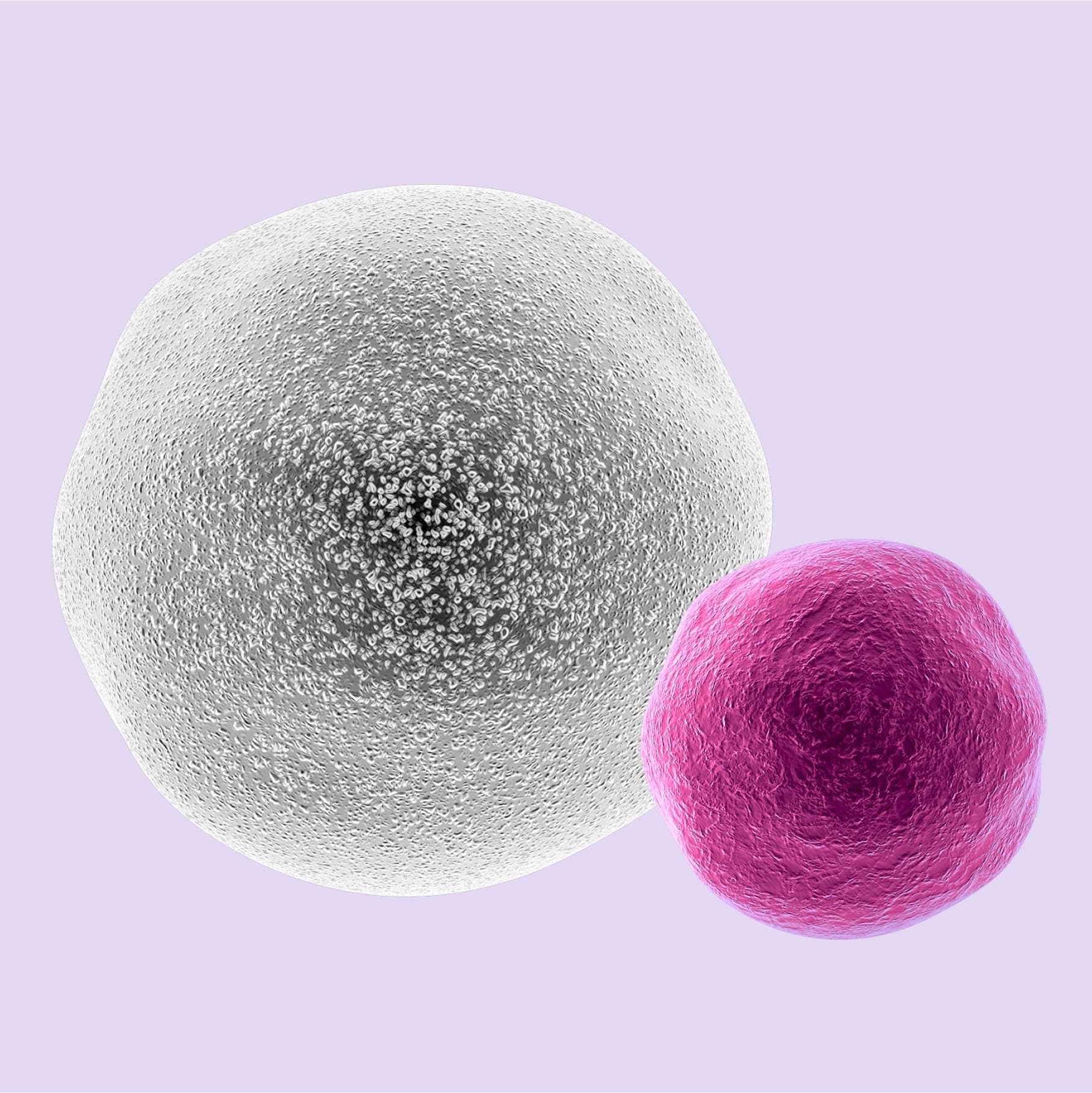 Oncologica — Patient pathway — step 1